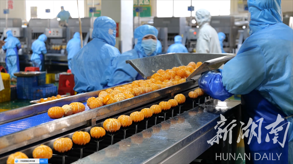 永州冷水灘:民企敢闖顯活力